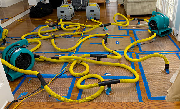 Professional Structural Drying And Dehumidification technician working in Bath, ME